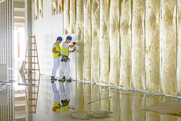 Best Insulation Maintenance and Repair in Mather, CA